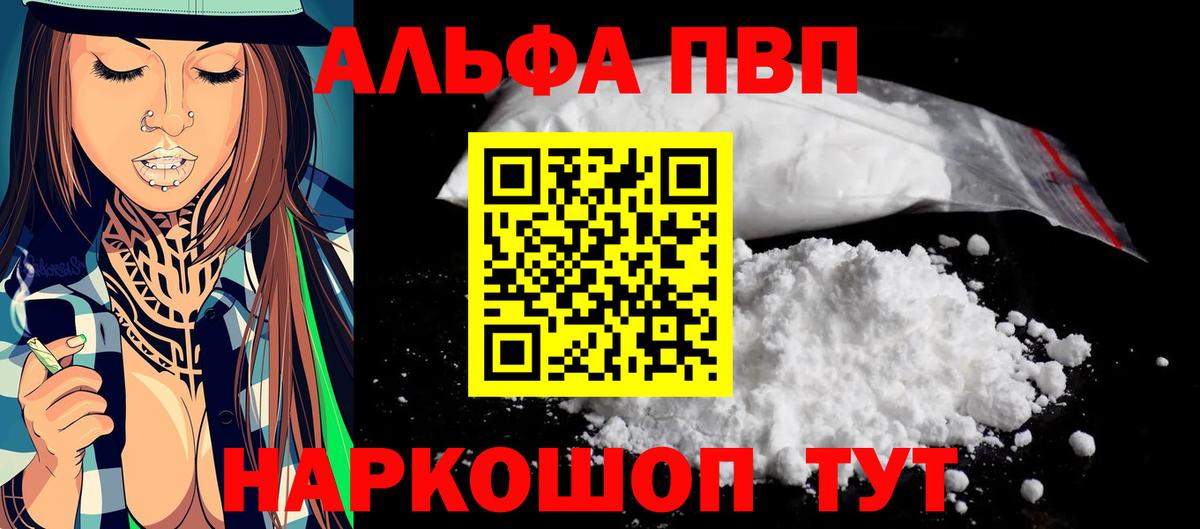 A PVP СК КРИС Гагарин
