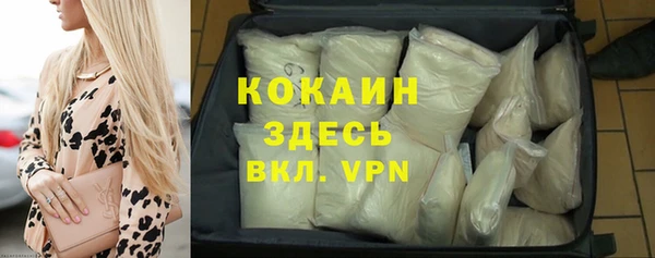 шишки Михайловск
