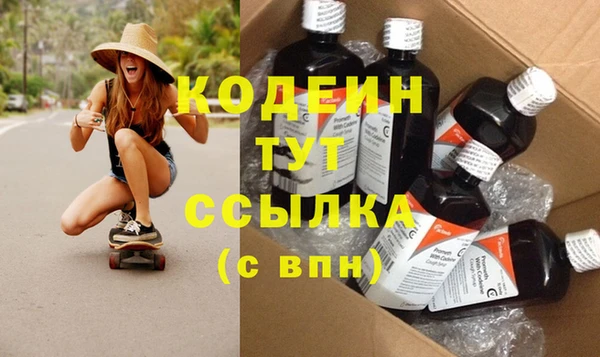 шишки Михайловск