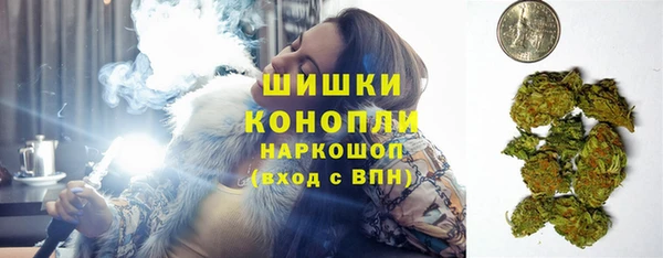 шишки Михайловск