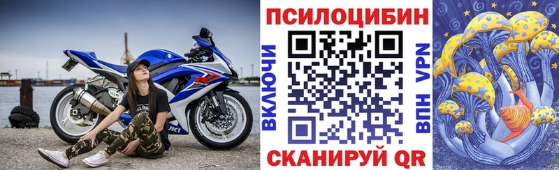 мега зеркало  Гагарин  Галлюциногенные грибы Cubensis 