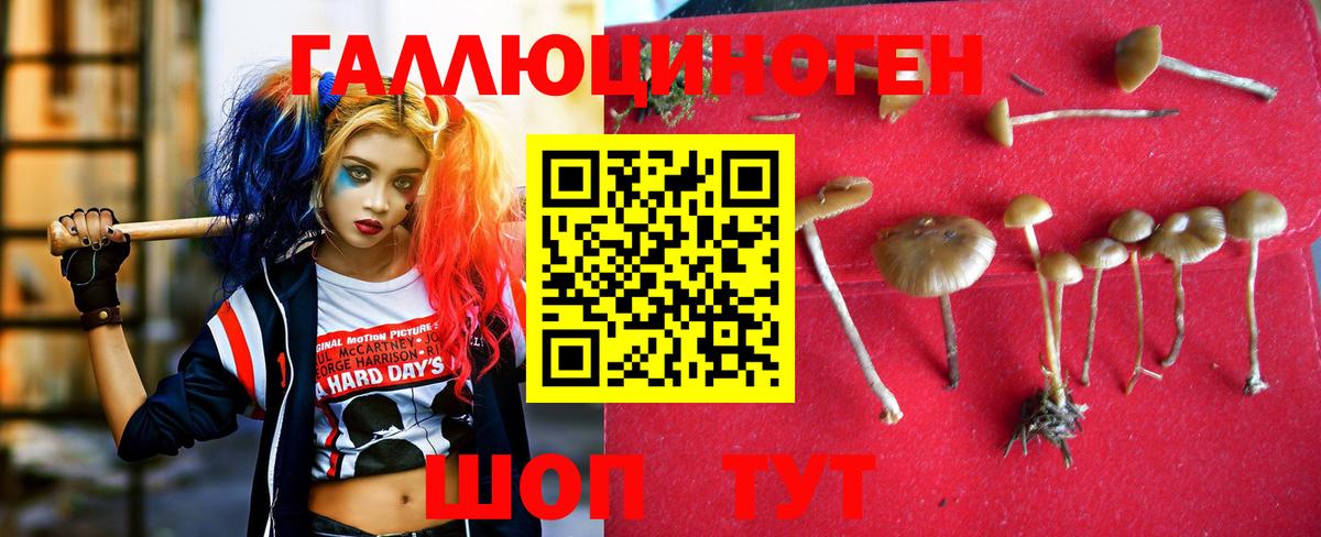 Псилоцибиновые грибы Magic Shrooms Гагарин